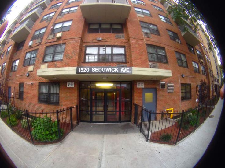 1520 Sedgwick block party tribute image