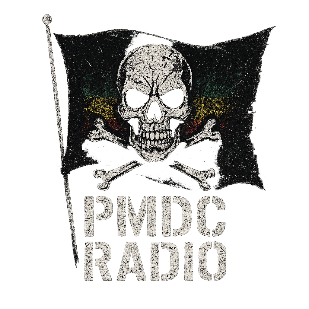 Black Flag Skull